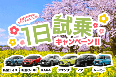 試乗キャンペーン,1日試乗,人気車,SUV,ミニバン