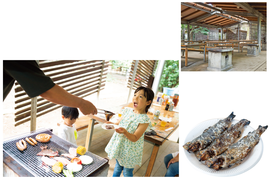 清水公園,バーベキュー