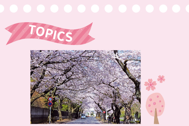 TOPICS,サクラ,ツツジ