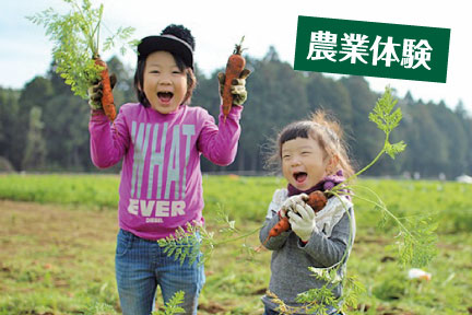THE FARM,農業体験