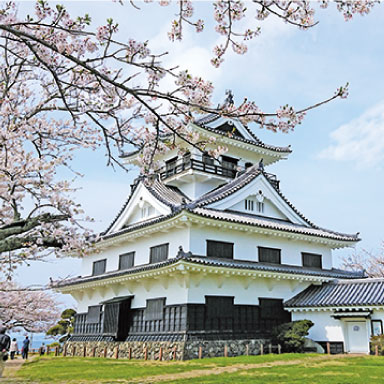 館山城,桜,千葉県館山市