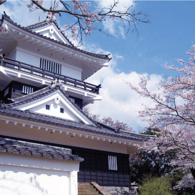 久留里城,桜,君津市