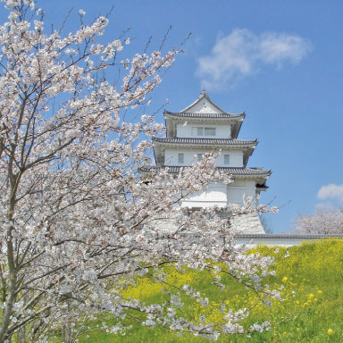 関宿城,関宿三軒家