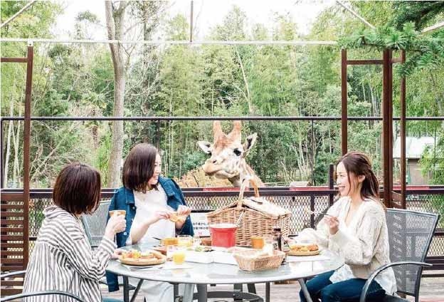 【特集】The-Bamboo-Forestのキリンと一緒に朝食が食べられるオプションプラン