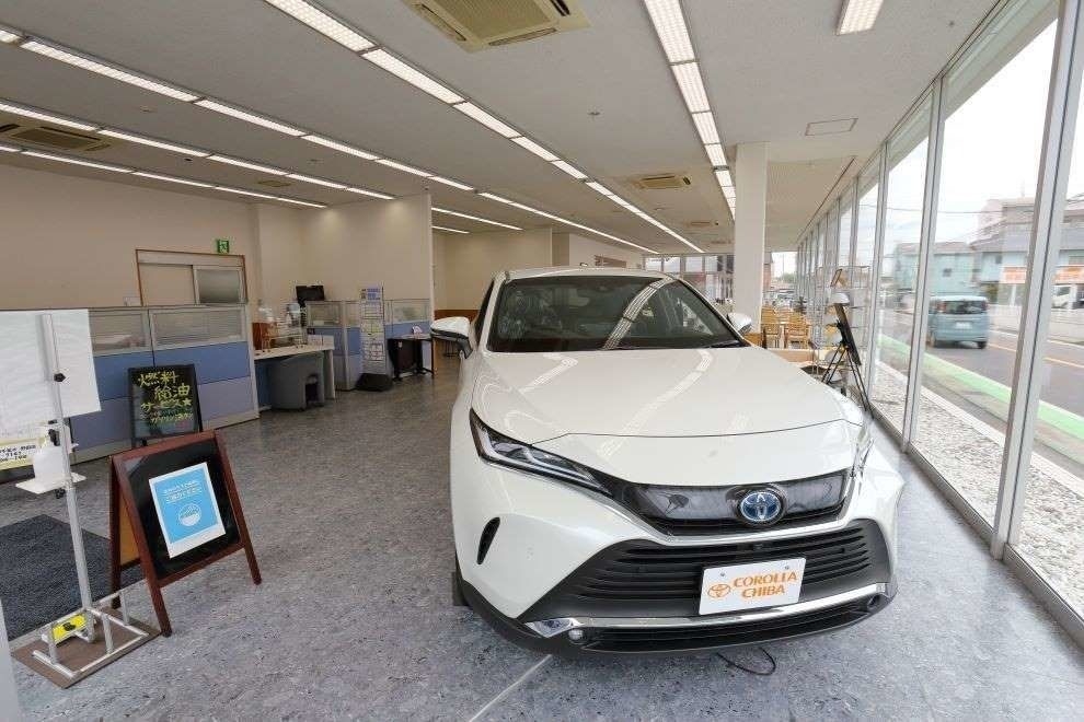 野田A13