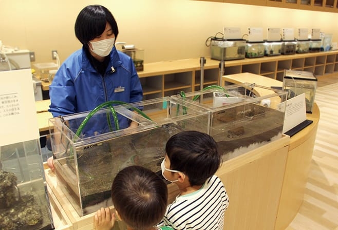 【ドライブプラン】ふなばし三番瀬環境学習館の観察コーナー