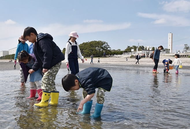 【ドライブプラン】ふなばし三番瀬海浜公園の干潟