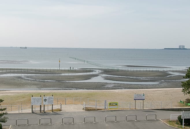 【ドライブプラン】ふなばし三番瀬海浜公園の干潟・浅海域