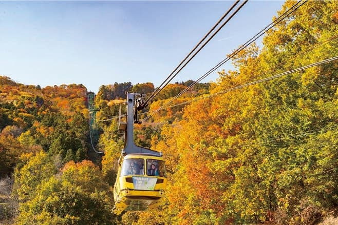 【ドライブプラン】紅葉に彩られた宝登山とゴンドラの風景