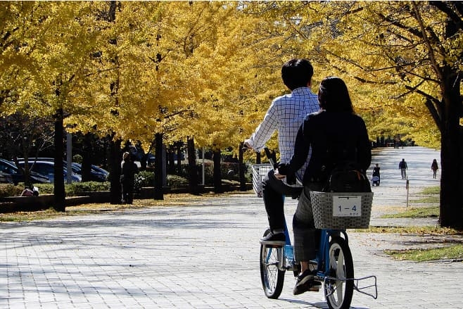【ドライブプラン】二人乗り自転車で秩父ミューズパーク内を散策風景
