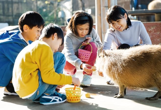 【ドライブプラン】カピバラにおやつをあげる子供たち