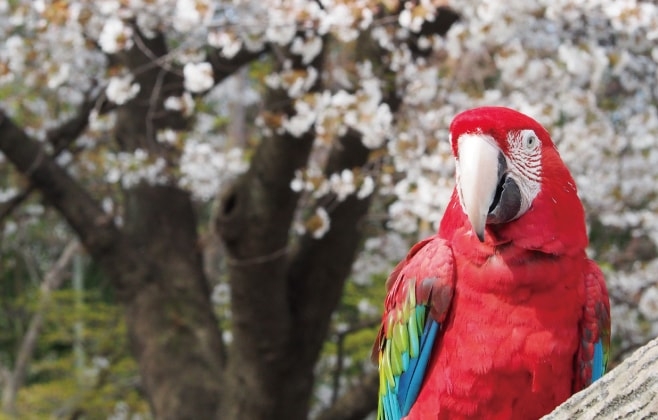 千葉市動物公園のワンショット