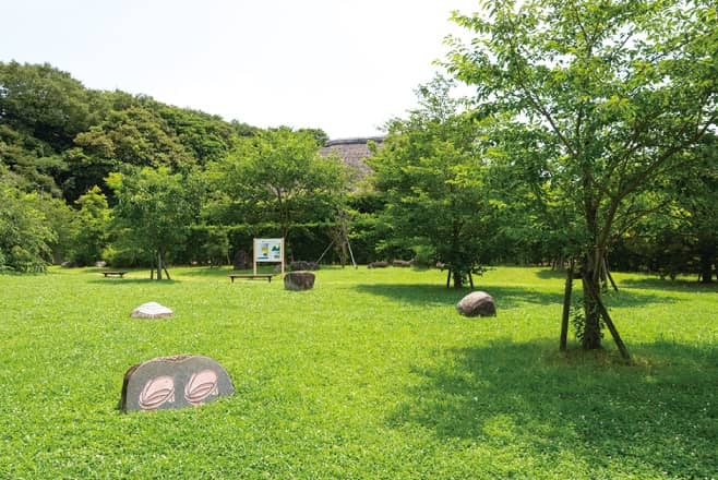 【歴史散歩】実籾本郷公園の風景
