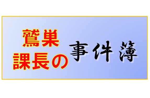 起こりかねない の例文集 : 起こりえないこと の例文集 – AOVSA