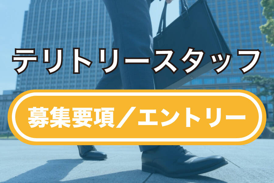 カローラ千葉,テリトリースタッフ,募集要項,エントリー