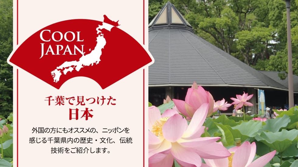 COOLJAPAN（クールジャパン）-二千年の眠りから花開いた オオガハス（千葉市）