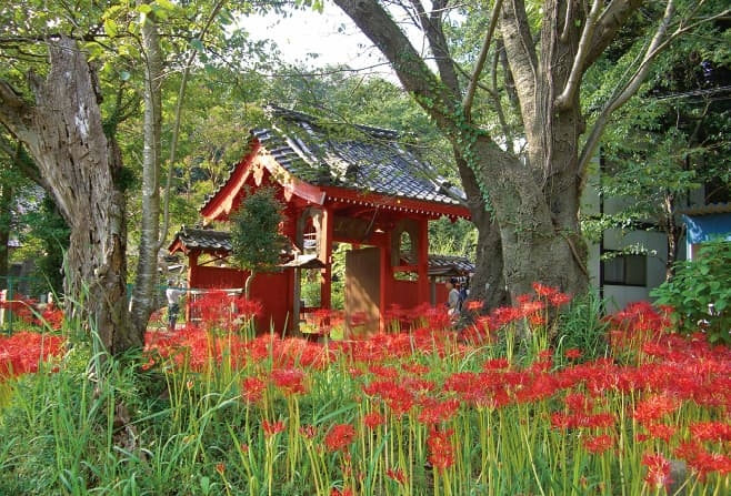 【歴史散歩】登慶山 如意輪寺 持法院