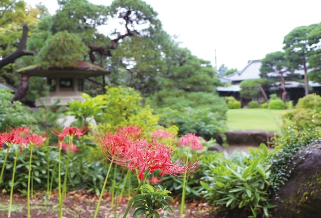 【歴史散歩】野田市郷土博物館・市民会館