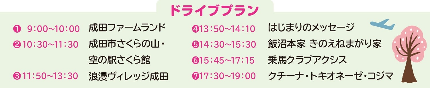 ドライブプラン