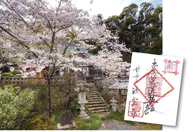 【歴史散歩】法宣寺