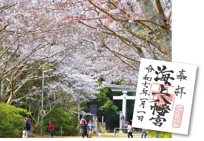 【歴史散歩】海上八幡宮