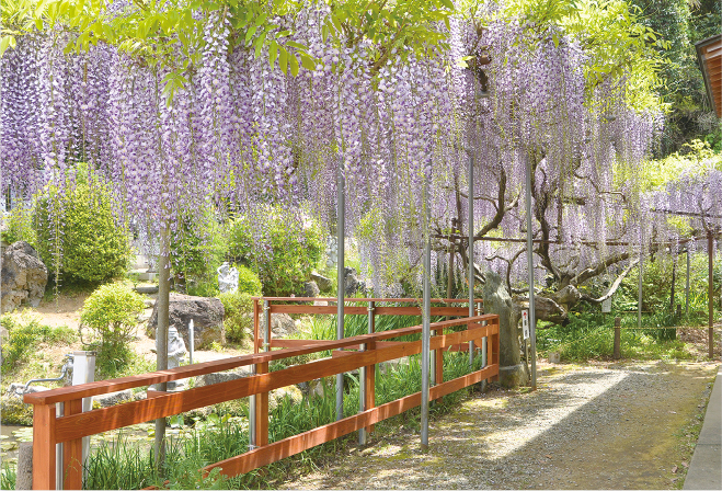 【COOLJAPAN】行徳の海苔