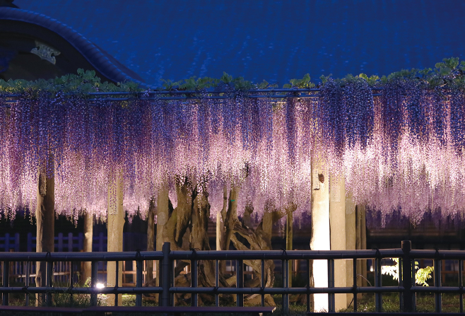 【COOLJAPAN】行徳の海苔