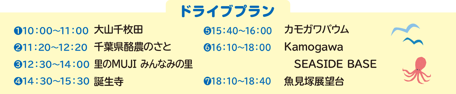 ドライブプラン