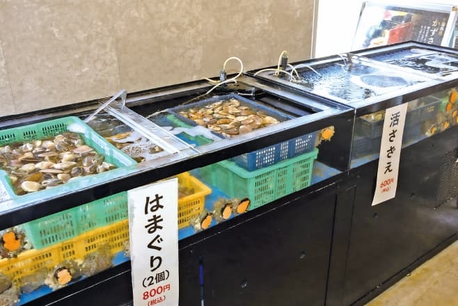【ドライブプラン】Kamogawa SEASIDE BASEのいけす