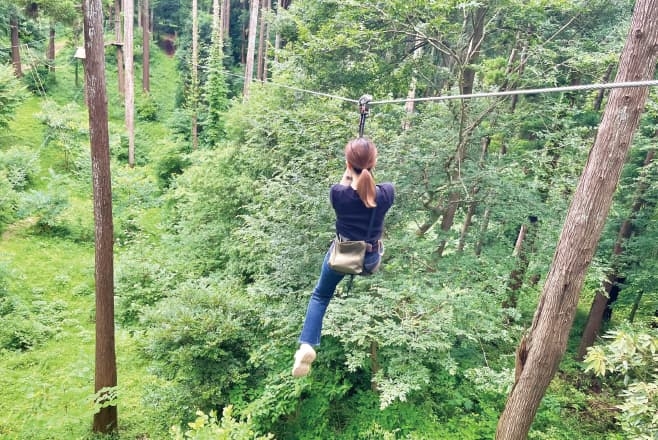 【ドライブプラン】フォレストアドベンチャー・千葉(アスレチック)