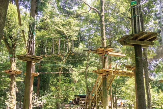 【ドライブプラン】フォレストアドベンチャー・千葉(アスレチック)