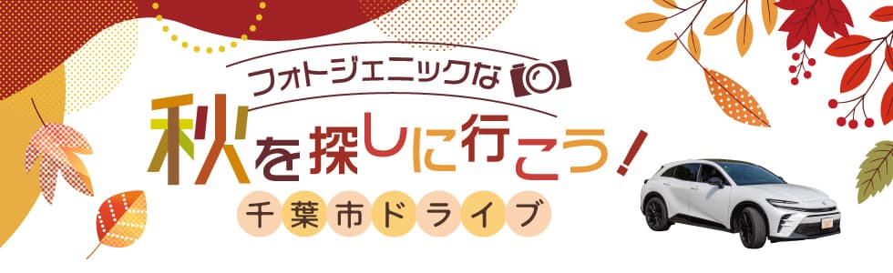 フォトジェニックな秋を探しに行こう！千葉市ドライブ