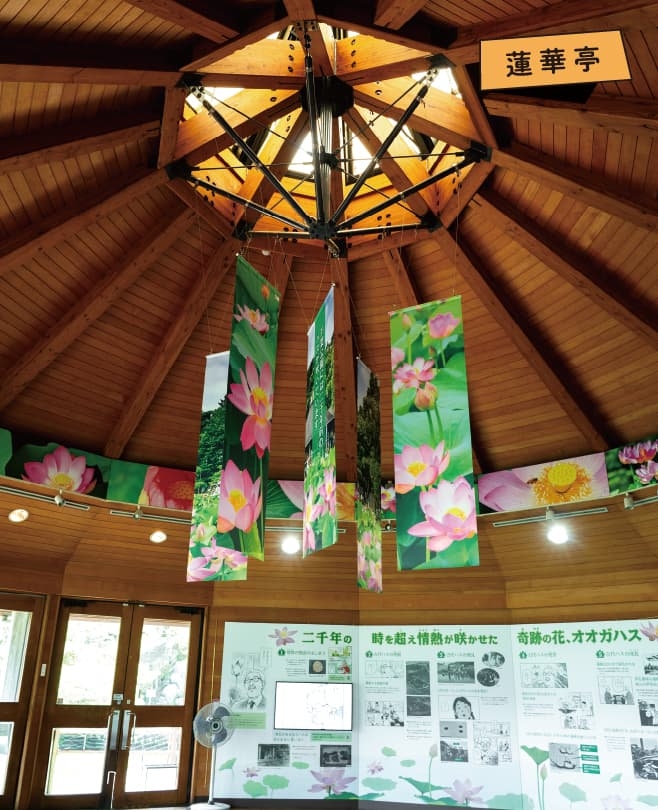 【ドライブプラン】千葉公園の蓮華亭