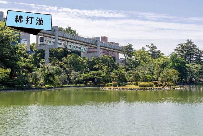 【ドライブプラン】千葉公園の綿打池