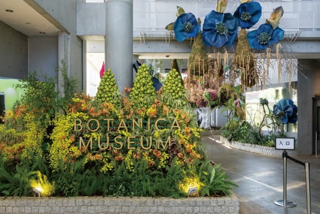 【ドライブプラン】BOTANICA MUSEUMのエントランスを飾るアート