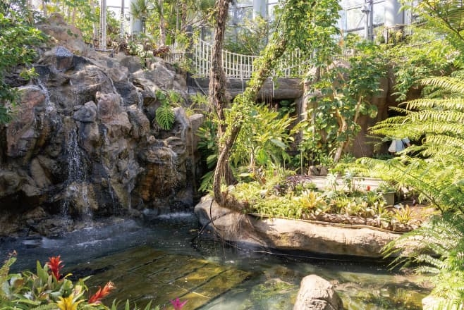 【ドライブプラン】BOTANICA MUSEUMの温室