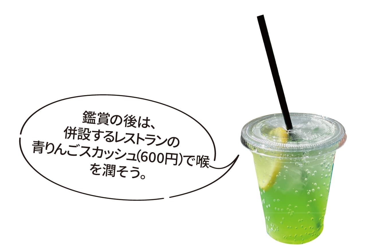 【ドライブプラン】BOTANICA MUSEUMのレストランの青りんごスカッシュ