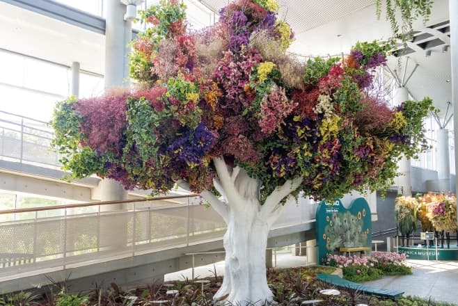 【ドライブプラン】BOTANICA MUSEUMのメインアート