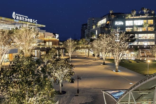 【ドライブプラン】流山おおたかの森駅南口都市広場のイルミネーション