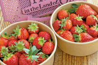 トヨタカローラ千葉C.C.RoadNo.97のドライブプランページ