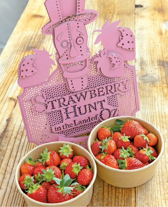 【ドライブプラン】京成バラ園 ハウス内の様子