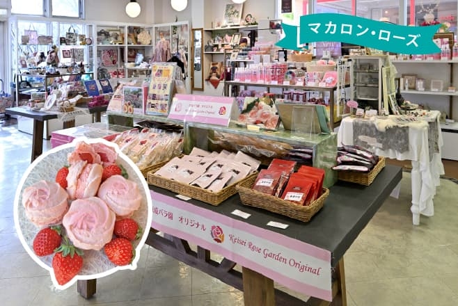 【ドライブプラン】マカロン・ローズ