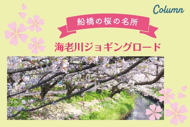 【ドライブプラン】Column 海老川ジョギングロード