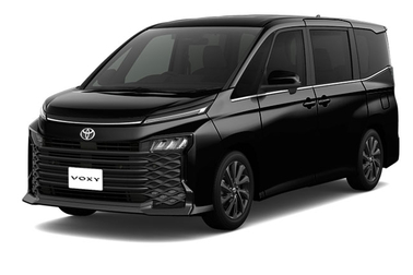 ニュートラルブラック〈229〉フロントサイド