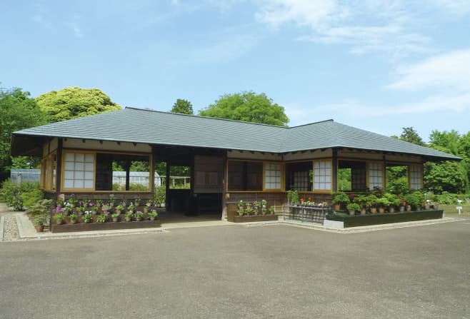 【COOLJAPAN】国立歴史民俗博物館 くらしの植物苑