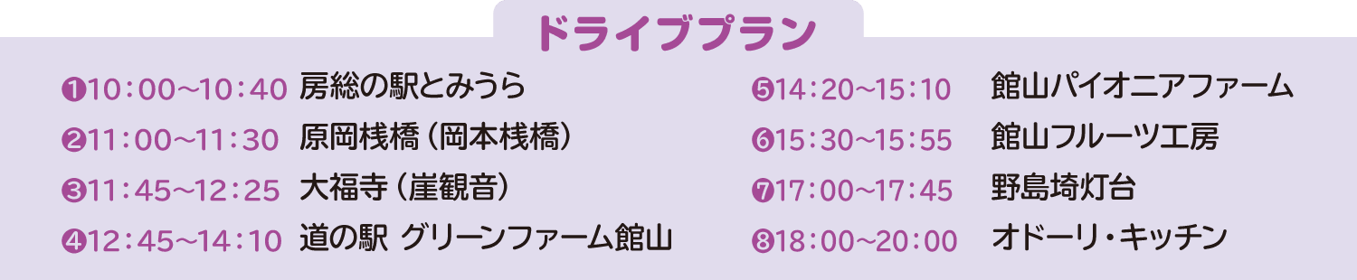 ドライブプラン