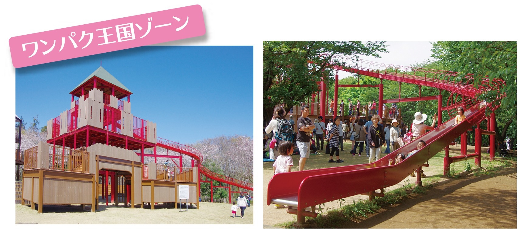 ふなばしアンデルセン公園、ワンパク王国ゾーン、アスレチック、ローラースライダー