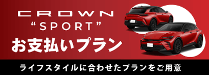お支払いプラン