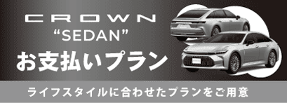 お支払いプラン