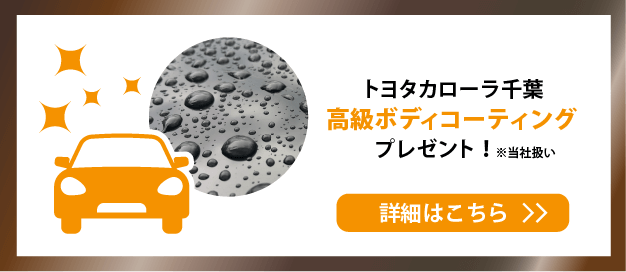 高級ボディコーティング